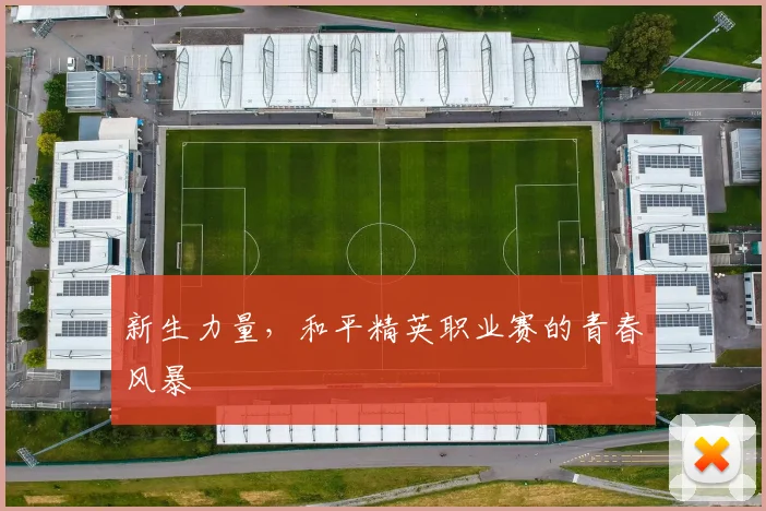 新生力量,和平精英职业赛的青春风暴