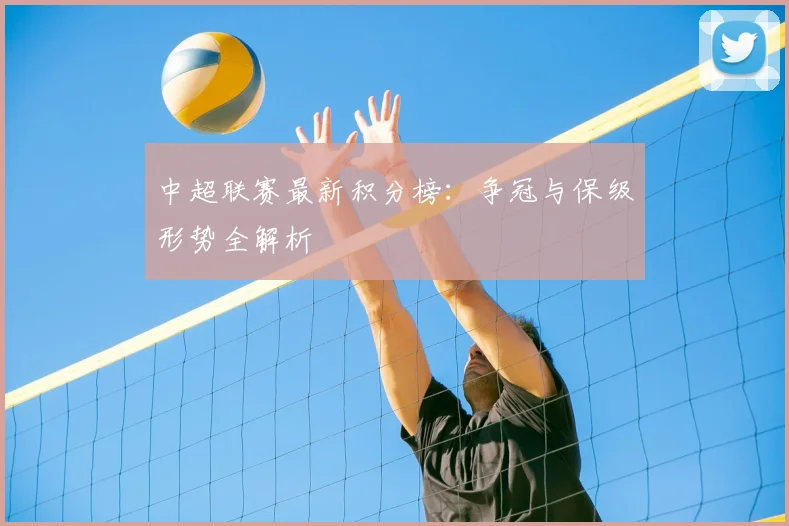 中超联赛最新积分榜:争冠与保级形势全解析